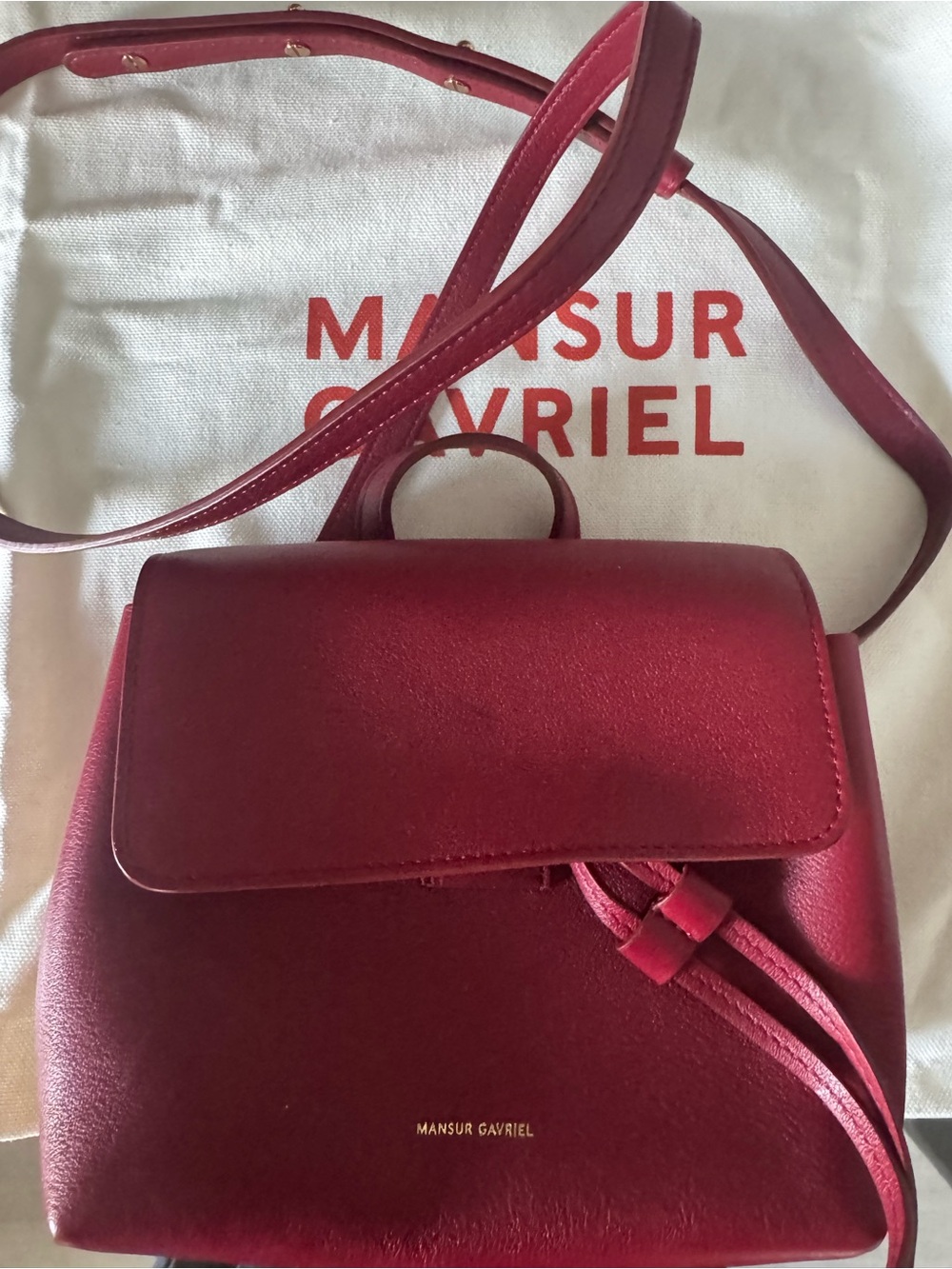 Mansur Gavriel Bordeaux Leather Mini Backpack - Picture 10 of 10